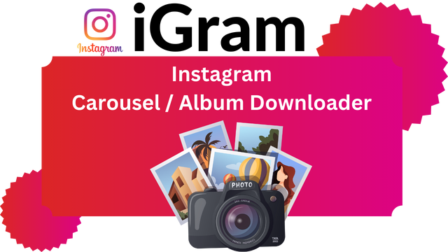 Instagram Downloader – Save Videos, Photos & Reels with iGram 8 Instagram Carousel and Album Downloads